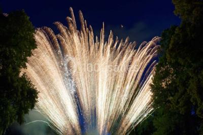 Location salle Eaubonne (Val-d'Oise) - Château De La Chesnaie #24