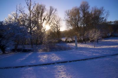 Paysage hivernal avec jardin enneigé, arbres dénudés et soleil bas illuminant la scène.