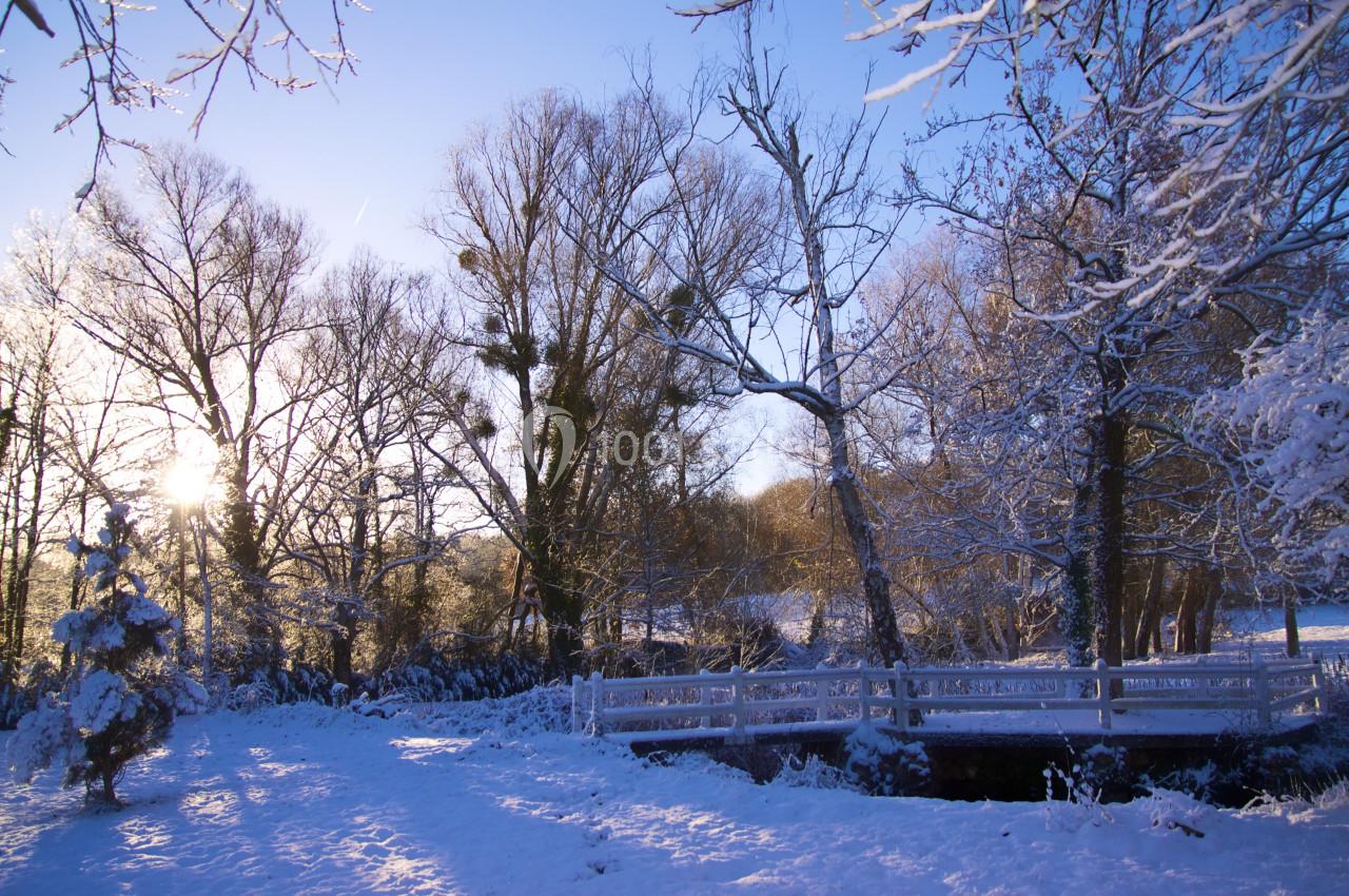 Paysage hivernal avec un pont en bois blanc traversant un ruisseau, entouré d'arbres enneigés sous un ciel dégagé.