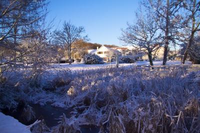 Paysage hivernal avec jardin enneigé, arbres dénudés et soleil bas illuminant la scène.