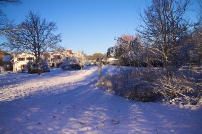 Paysage hivernal avec jardin enneigé, arbres dénudés et soleil bas illuminant la scène.