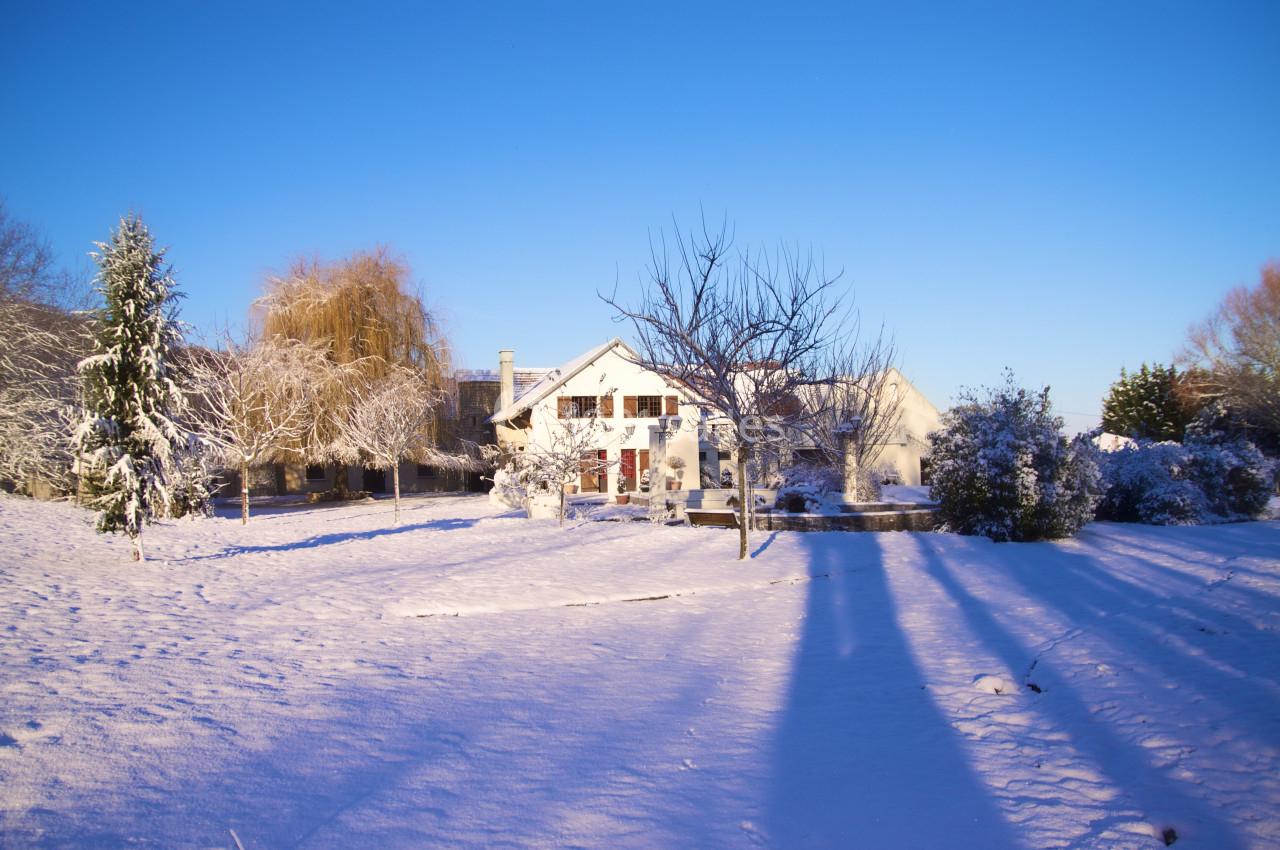 Maison entourée d'un jardin enneigé sous un ciel bleu clair, avec des arbres dénudés et des ombres longues au sol.