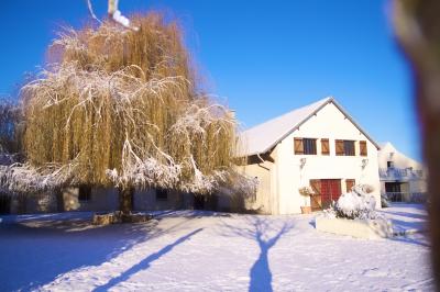 Paysage hivernal avec jardin enneigé, arbres dénudés et soleil bas illuminant la scène.