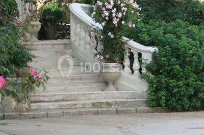 Paysage hivernal avec jardin enneigé, arbres dénudés et soleil bas illuminant la scène.