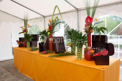 Paysage hivernal avec jardin enneigé, arbres dénudés et soleil bas illuminant la scène.