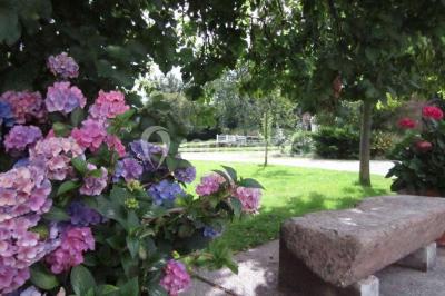 Paysage hivernal avec jardin enneigé, arbres dénudés et soleil bas illuminant la scène.