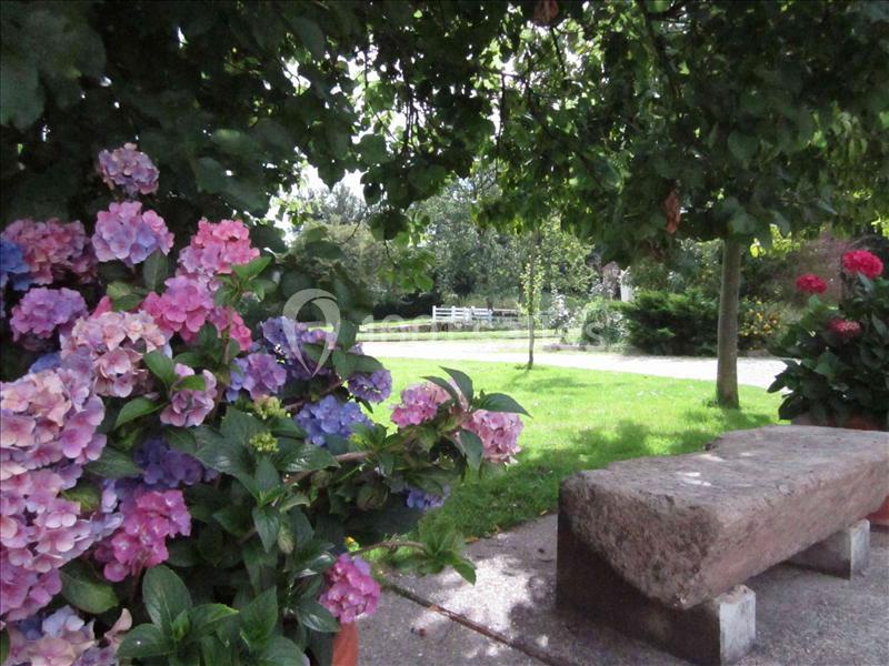 Banc en pierre sous des arbres, entouré d'hortensias colorés, avec une pelouse et une clôture blanche en arrière-plan.