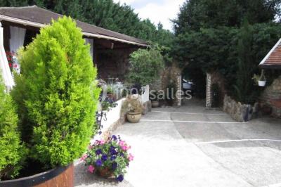 Paysage hivernal avec jardin enneigé, arbres dénudés et soleil bas illuminant la scène.