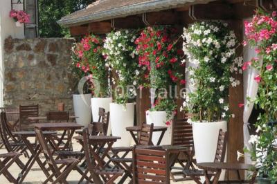 Paysage hivernal avec jardin enneigé, arbres dénudés et soleil bas illuminant la scène.