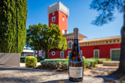 Location salle Nice (Alpes-Maritimes) - Château de Cremat #17