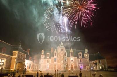 Miniature Location salle Vouvray (Indre-et-Loire) - Château de Jallanges #12 Façade d'un château illuminée par des lumières colorées rose et violette lors d'un événement nocturne.