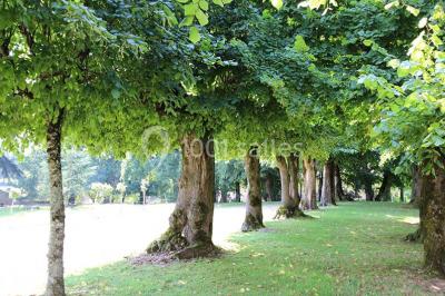 Location salle Veyrac (Haute-Vienne) - Château De La Cosse #16