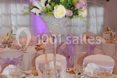 Location salle Morigny-Champigny (Essonne) - Hôtellerie Nouvelle de Villemartin #24