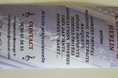 DJ Mesnard-la-Barotière (Vendée) - Corinne herlin #5