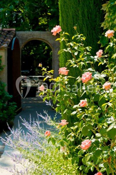 Location salle Lagnes (Vaucluse) - Le Mas De Cure Bourse #8