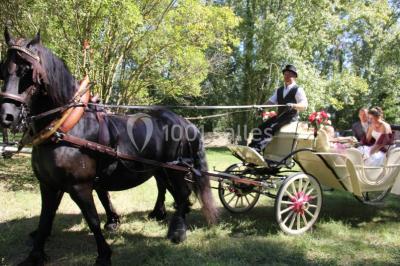 Location salle Lagnes (Vaucluse) - Le Mas De Cure Bourse #24
