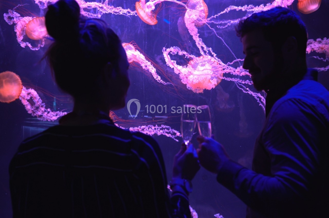 Deux personnes trinquent avec des verres devant un aquarium illuminé par des méduses roses.