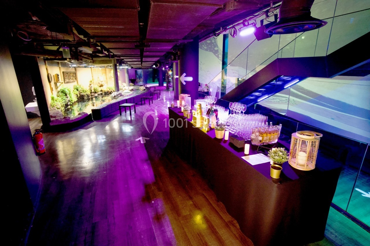 Salle moderne éclairée par des lumières colorées, avec un buffet de boissons et des tables disposées en arrière-plan.