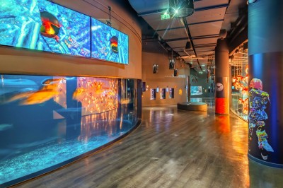 Tunnel d'aquarium avec un grand bassin à droite, éclairages colorés et écran lumineux sur le mur gauche.