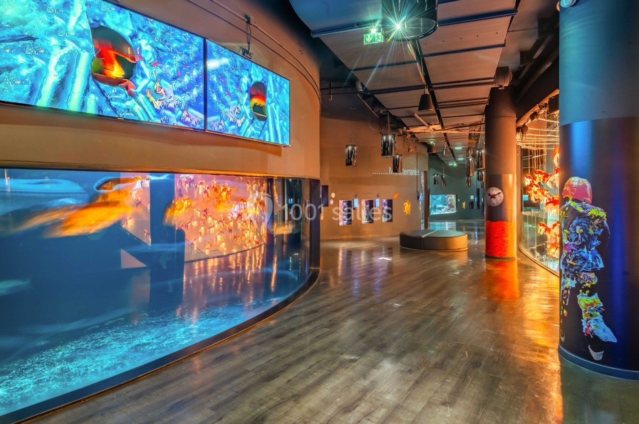 Aquarium moderne avec grands bassins vitrés, écrans numériques et éclairage tamisé dans un espace intérieur.