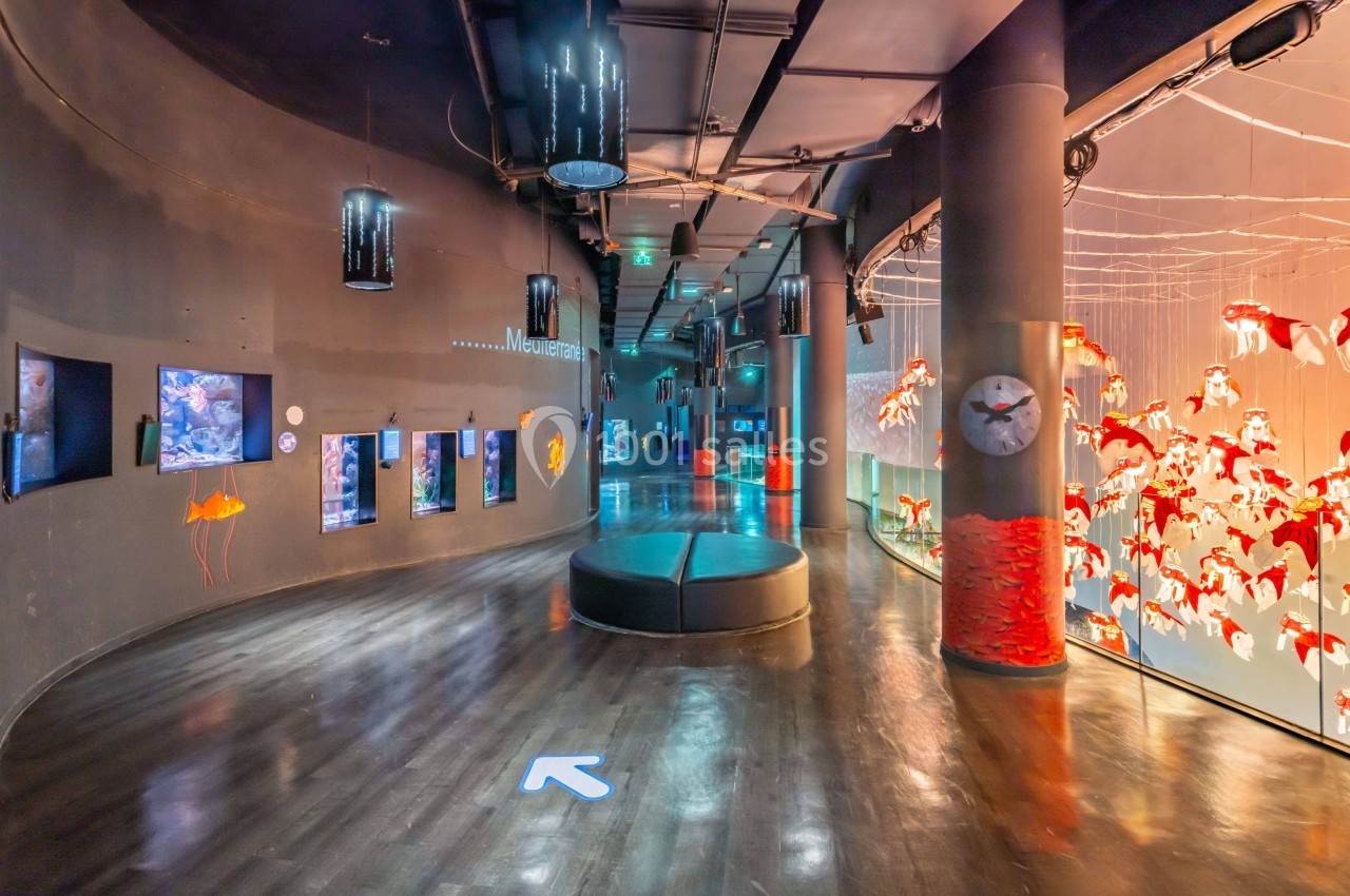 Couloir d'un aquarium moderne avec écrans interactifs, vitrines éclairées et sculptures de poissons suspendues.