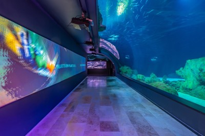 Tunnel d'aquarium avec un grand bassin à droite, éclairages colorés et écran lumineux sur le mur gauche.