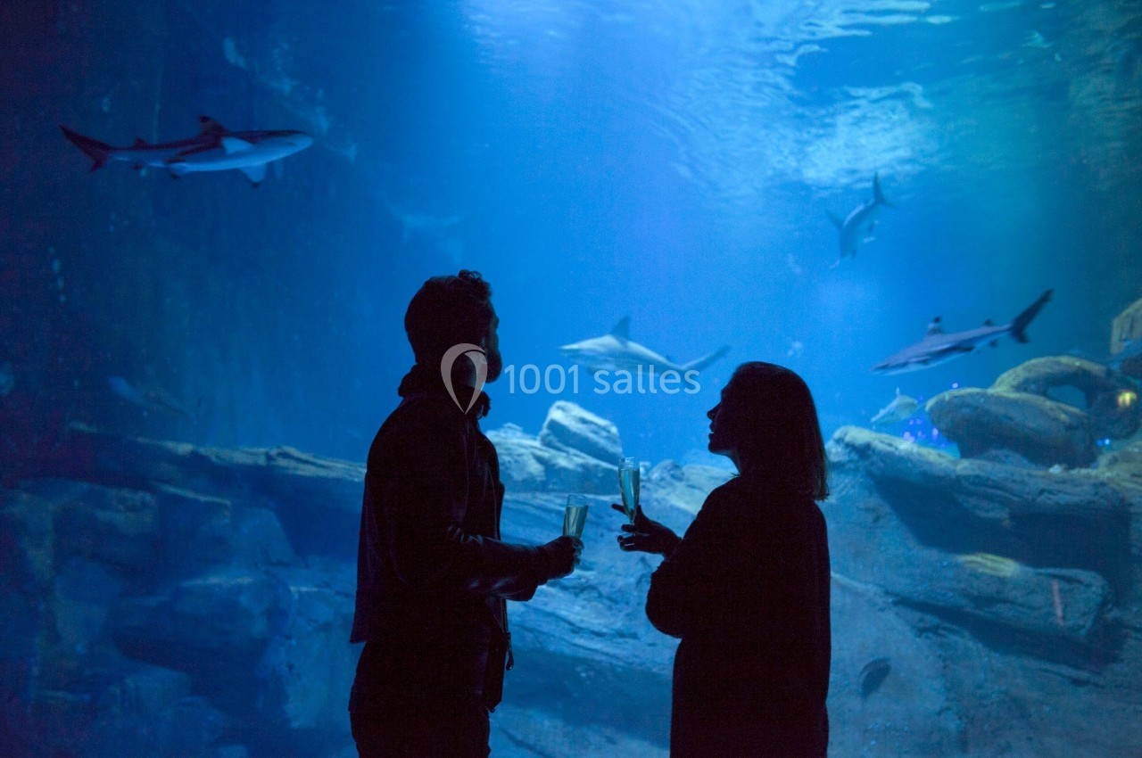 Deux personnes discutent dans un aquarium, entourées de requins nageant dans un grand bassin éclairé en bleu.