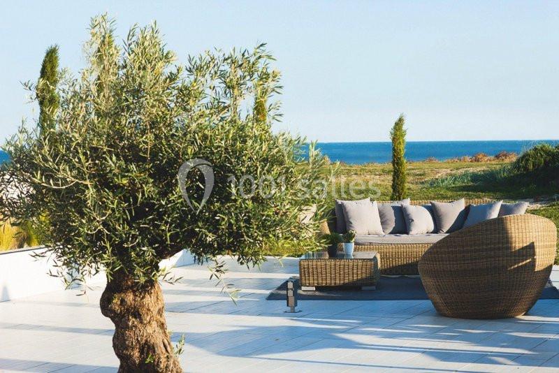 Terrasse ensoleillée avec un olivier, un canapé en rotin et vue sur la mer à l'horizon.