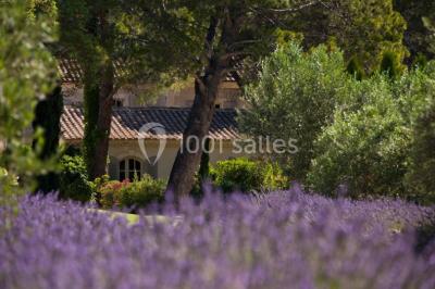 Location salle Baux-de-Provence (Bouches-du-Rhône) - Hôtel Benvengudo #24