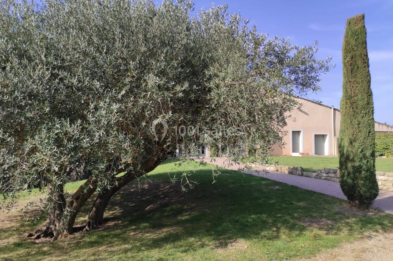 Un olivier et un cyprès devant une maison beige avec un chemin pavé et une pelouse verte.