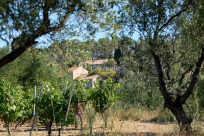 La Garrigue La Garrigue