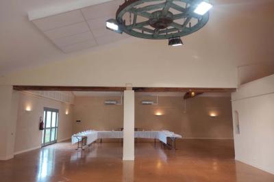 Un jardin verdoyant avec pelouse, arbustes, olivier central et allées bordées de végétation sous un ciel dégagé.