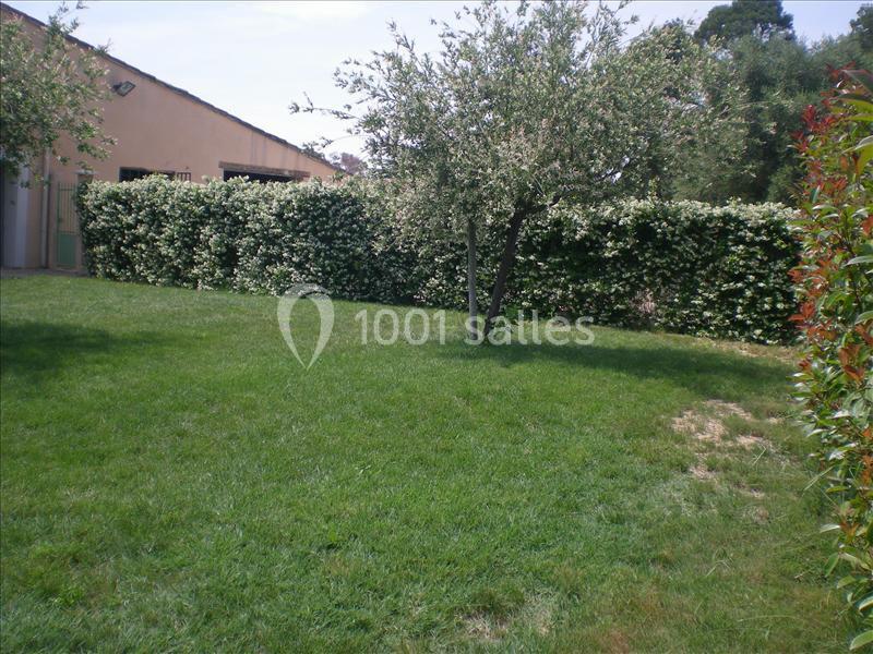 Un jardin avec pelouse, un arbre au centre et une haie dense entourant l'espace.