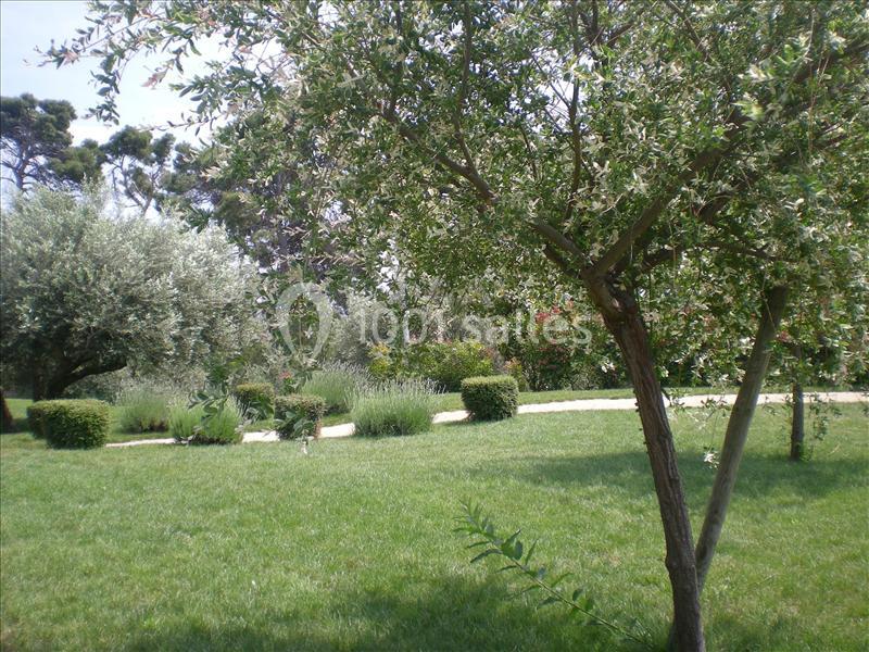 Un jardin verdoyant avec des arbres, des arbustes taillés et une pelouse, traversé par un chemin sinueux.