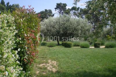 Un jardin verdoyant avec pelouse, arbustes, olivier central et allées bordées de végétation sous un ciel dégagé.
