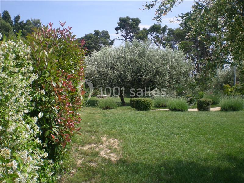Un jardin verdoyant avec pelouse, arbustes, olivier central et allées bordées de végétation sous un ciel dégagé.