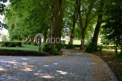 Table élégamment dressée avec nappes blanches, vaisselle raffinée, bougies allumées et décoration florale.