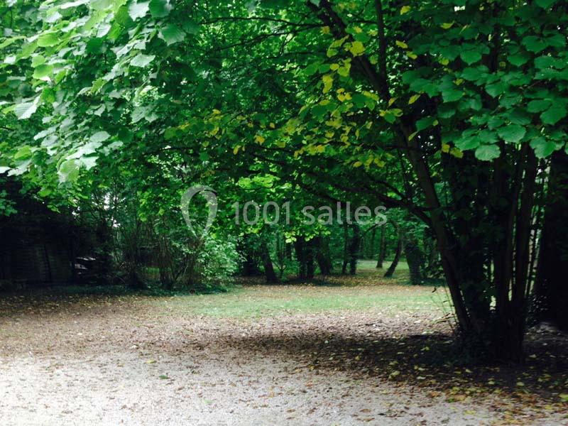 Allée bordée d'arbres feuillus dans un parc, avec un sol partiellement recouvert de feuilles mortes.