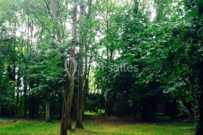 Deux lits simples avec couvertures vertes dans une chambre mansardée aux poutres apparentes et murs en plâtre.