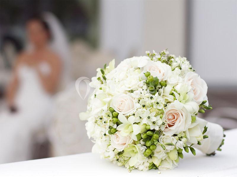 Location salle Rillieux-la-Pape (Rhône) - Restaurant Chez Sophie #2