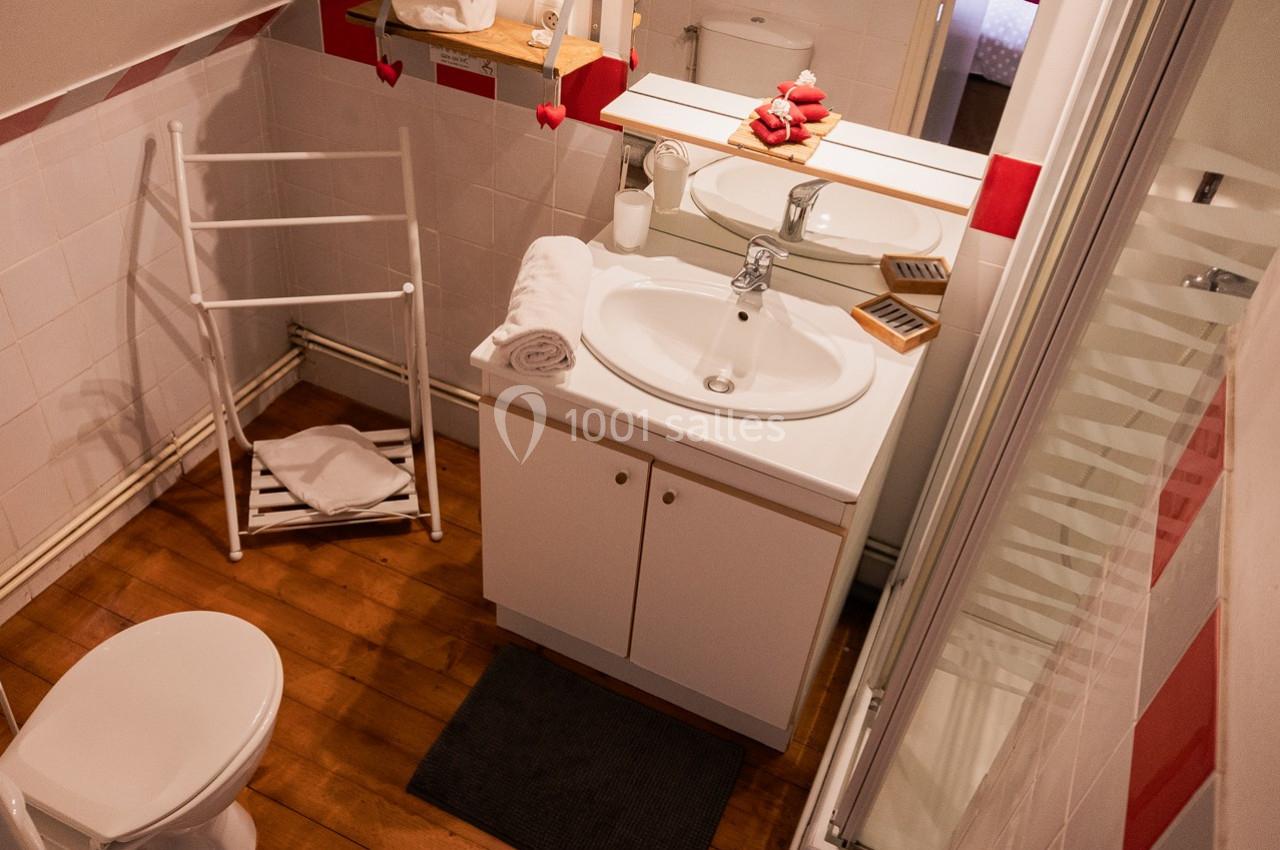 Salle de bain avec lavabo, miroir, douche, toilettes, étendoir pliant et sol en bois.