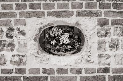 Miniature Location salle La Cerlangue (Seine-Maritime) - Le Clos du Meslay #31 Centre de table avec roses blanches et fleurs dans un vase en verre rond, sur une nappe en toile de jute.