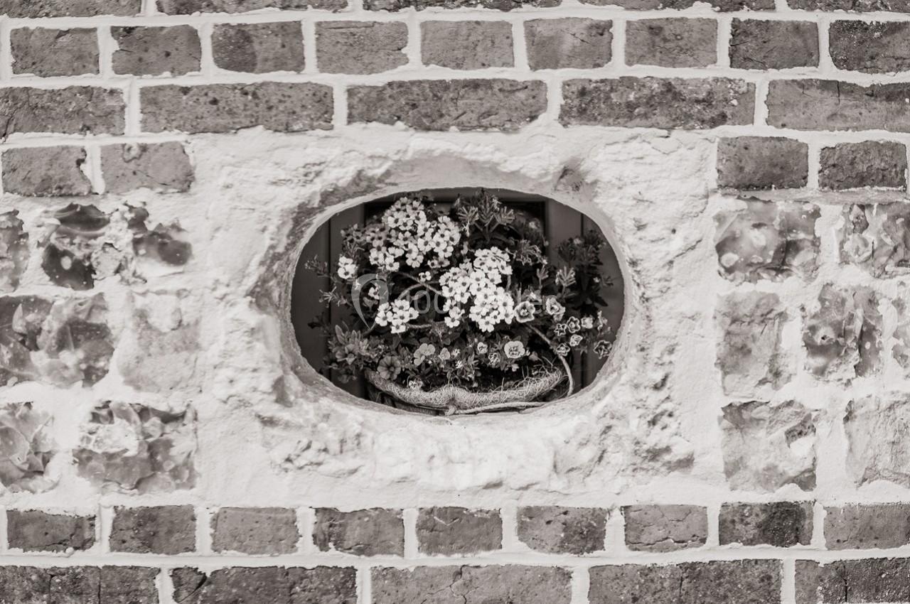Fleurs disposées dans une ouverture ovale d'un mur en briques, encadrées par de la pierre.