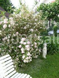 Location salle Sainte-Geneviève-des-Bois (Essonne) - La Spirale #10