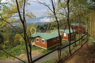 Vue aérienne d'un complexe avec piscine, toboggan aquatique, mini-golf et espaces ombragés entourés de végétation.