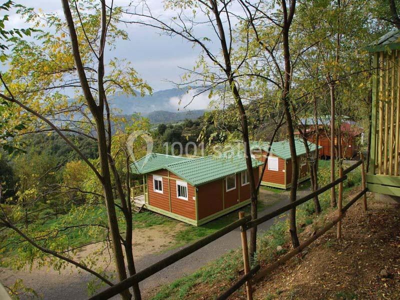 Chalets en bois avec toits verts entourés d'arbres dans un paysage vallonné parsemé de végétation.