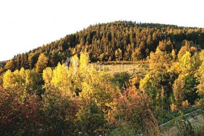 Location salle Lalouvesc (Ardèche) - Milagro #18