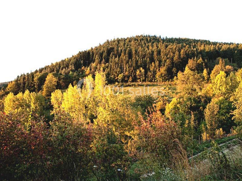 Location salle Lalouvesc (Ardèche) - Milagro #3