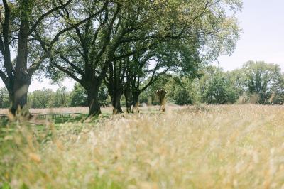 Chemin de gravier menant à une maison en pierre avec toit en tuiles, entourée de verdure et d'une clôture en bois.