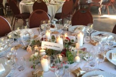 Location salle Saint-Rémy-en-Mauges (Maine-et-Loire) - Domaine Du Moulin Neuf #24